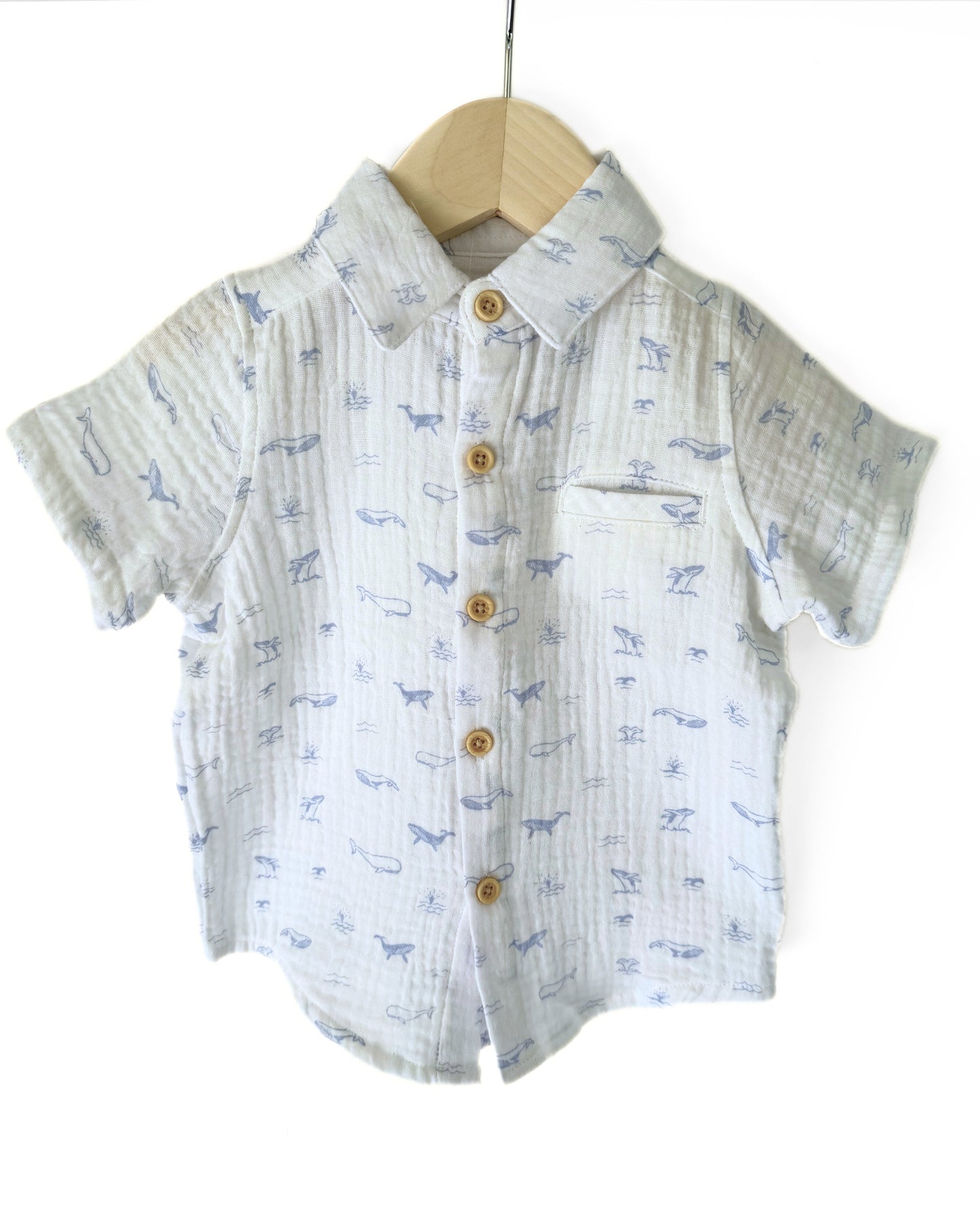 Blue Whales Boys Button Up