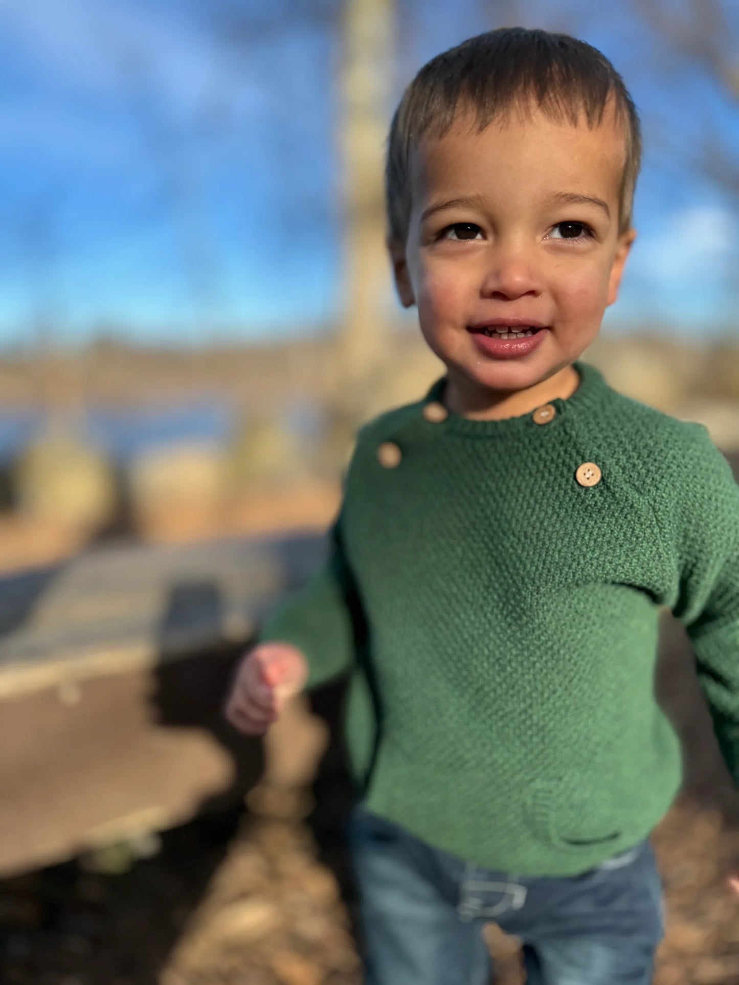 Green Morrison Boys Sweater